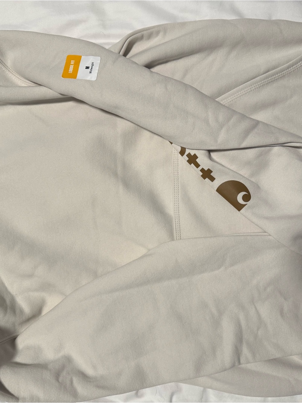 NWT Carhartt Loose Fit Midweight Hoodie in Light Beige